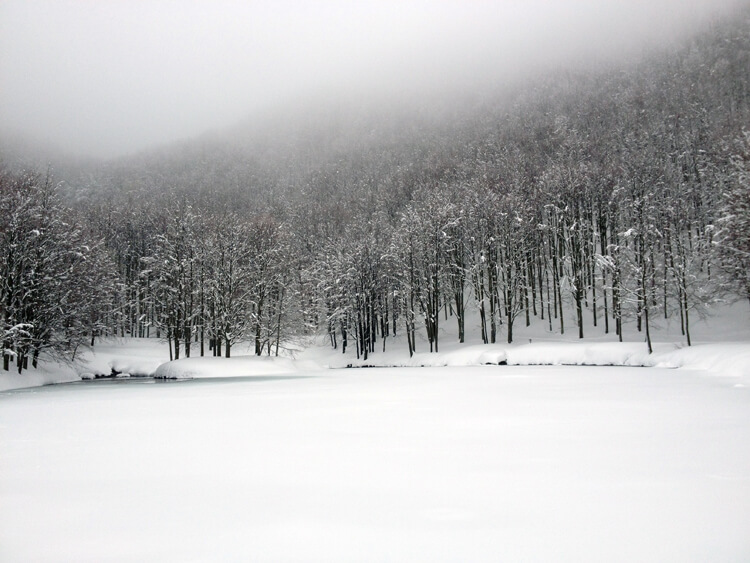 snowshoeing in Emilia-Romagna