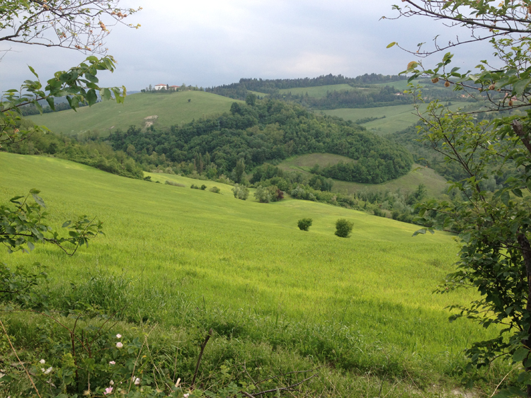 Bologna hills