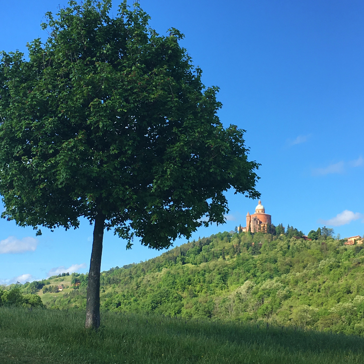 Basilica of San Luca