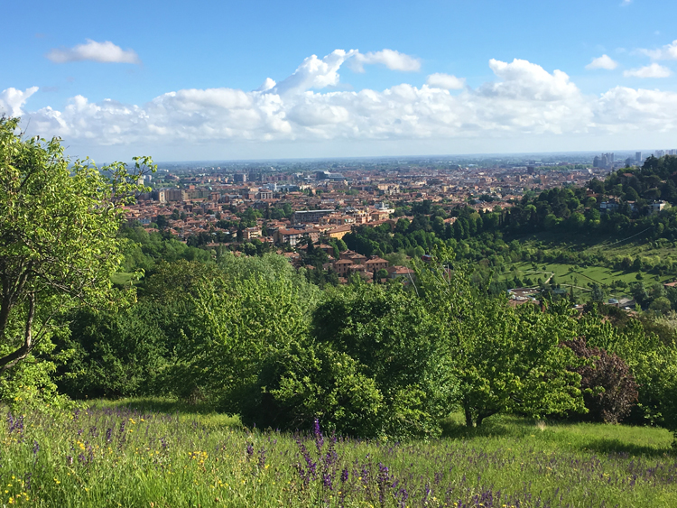 top walks in Bologna