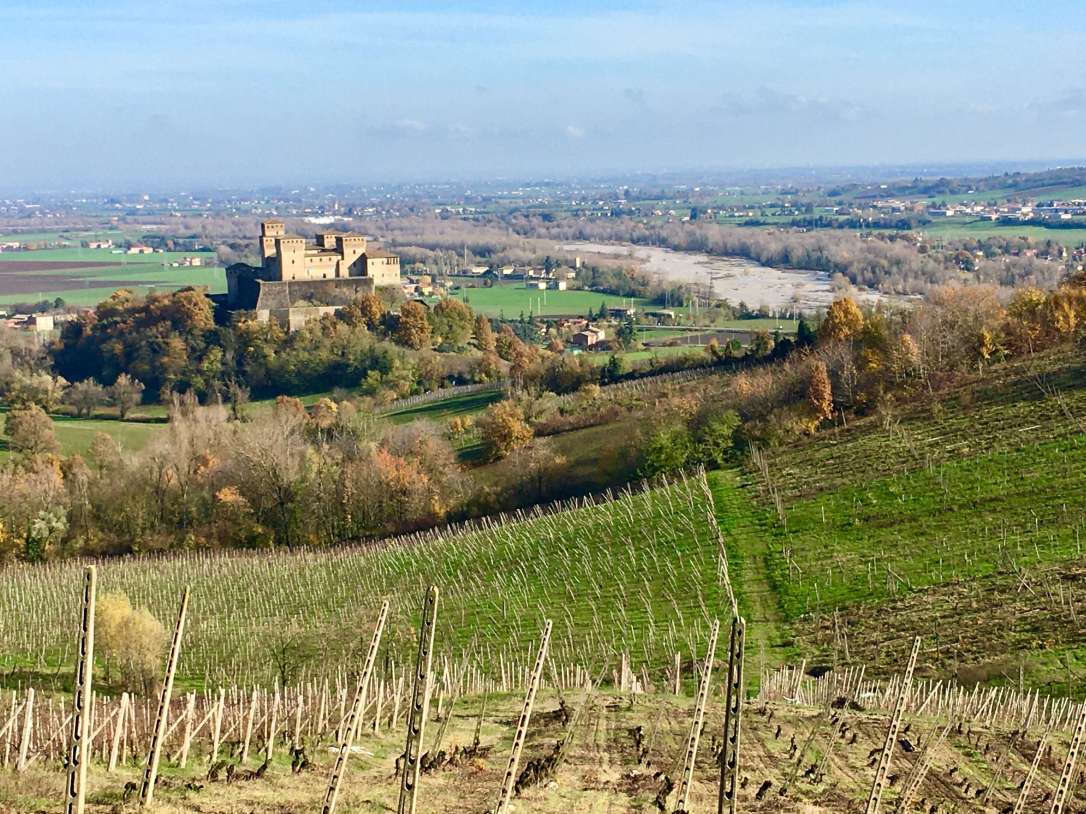 Vineyards and view of Torrechiara Castle