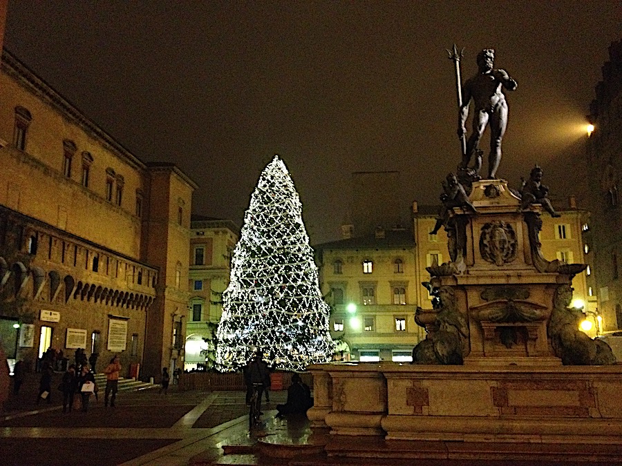 Bologna's Christmas tree and Fountain of Neptune
